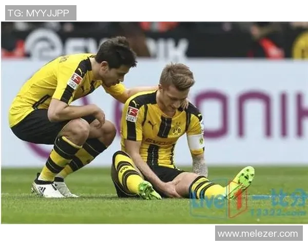 足球场上球星呐喊名字的背后故事与意义解析