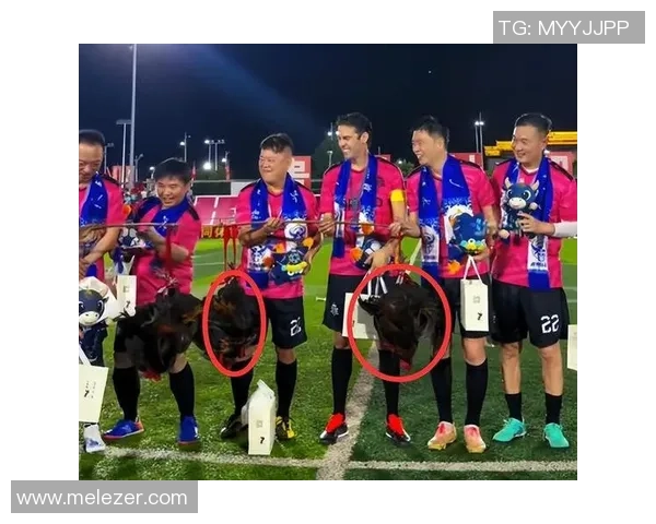 足球傻子球星：从傻乎乎的笑料到逆袭成传奇的成长故事